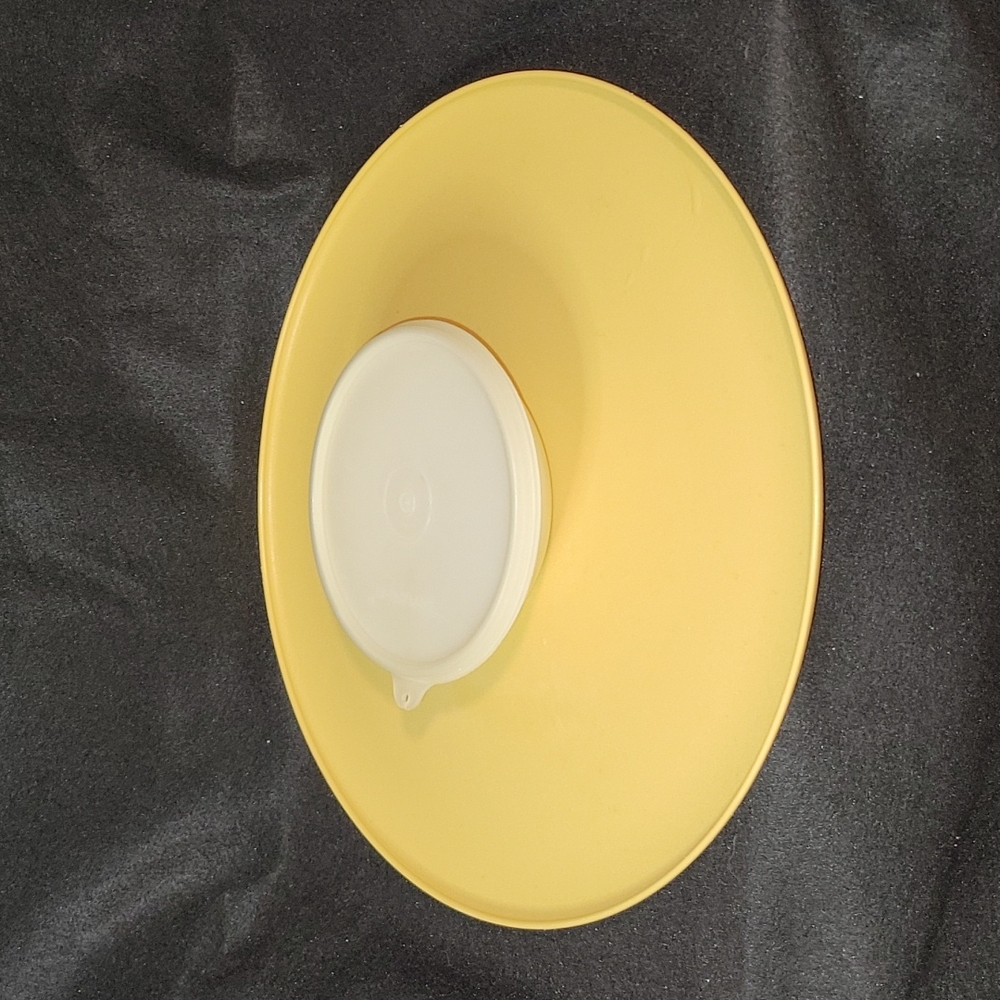 Tupperware: Dip and Serve Tray